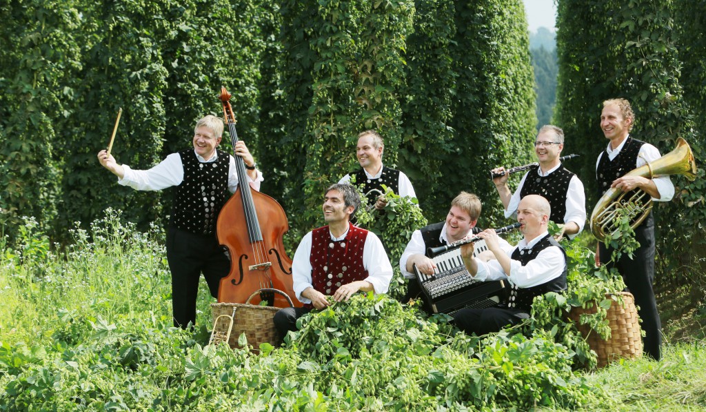 Bild von Gruppe Dellnhauser Musikanten