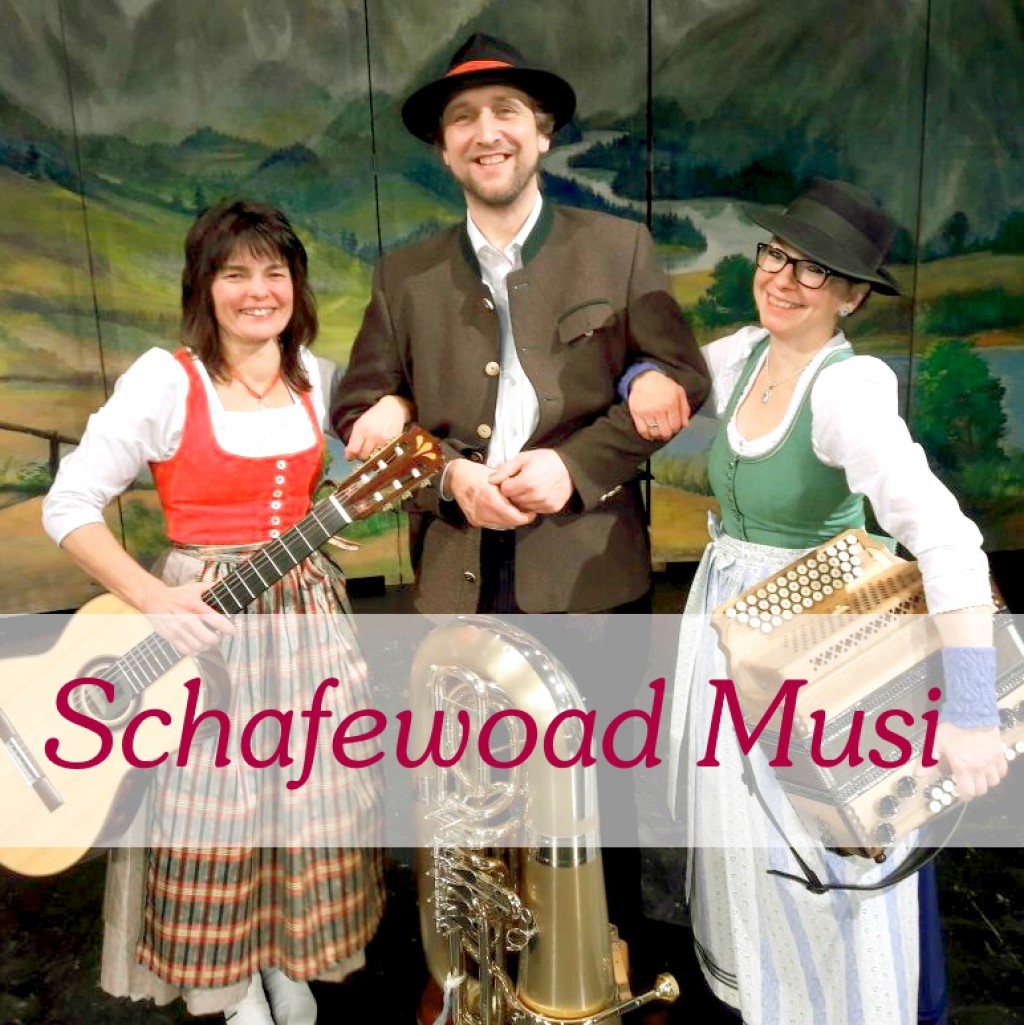 Bild von Gruppe Schafewoad Musi