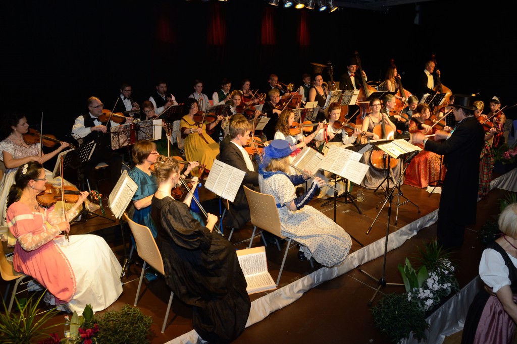 Bild von Gruppe Straubinger Ballorchester