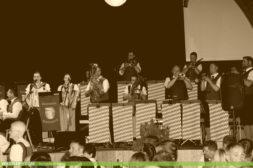 Bild von Gruppe Breitenberger Wirtshausmusikanten