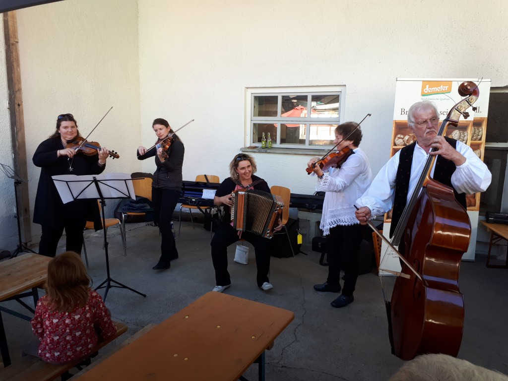 Bild von Gruppe Köschinger Saitentratzer