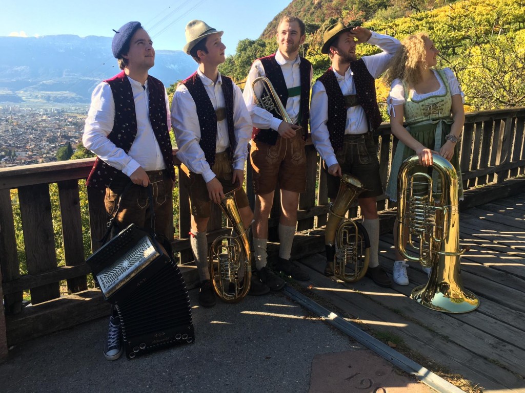 Bild von Gruppe Die BlecHarMusig