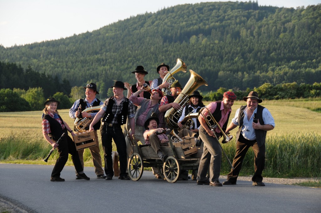 Bild von Gruppe d´ Woihauser Straßenmusikanten