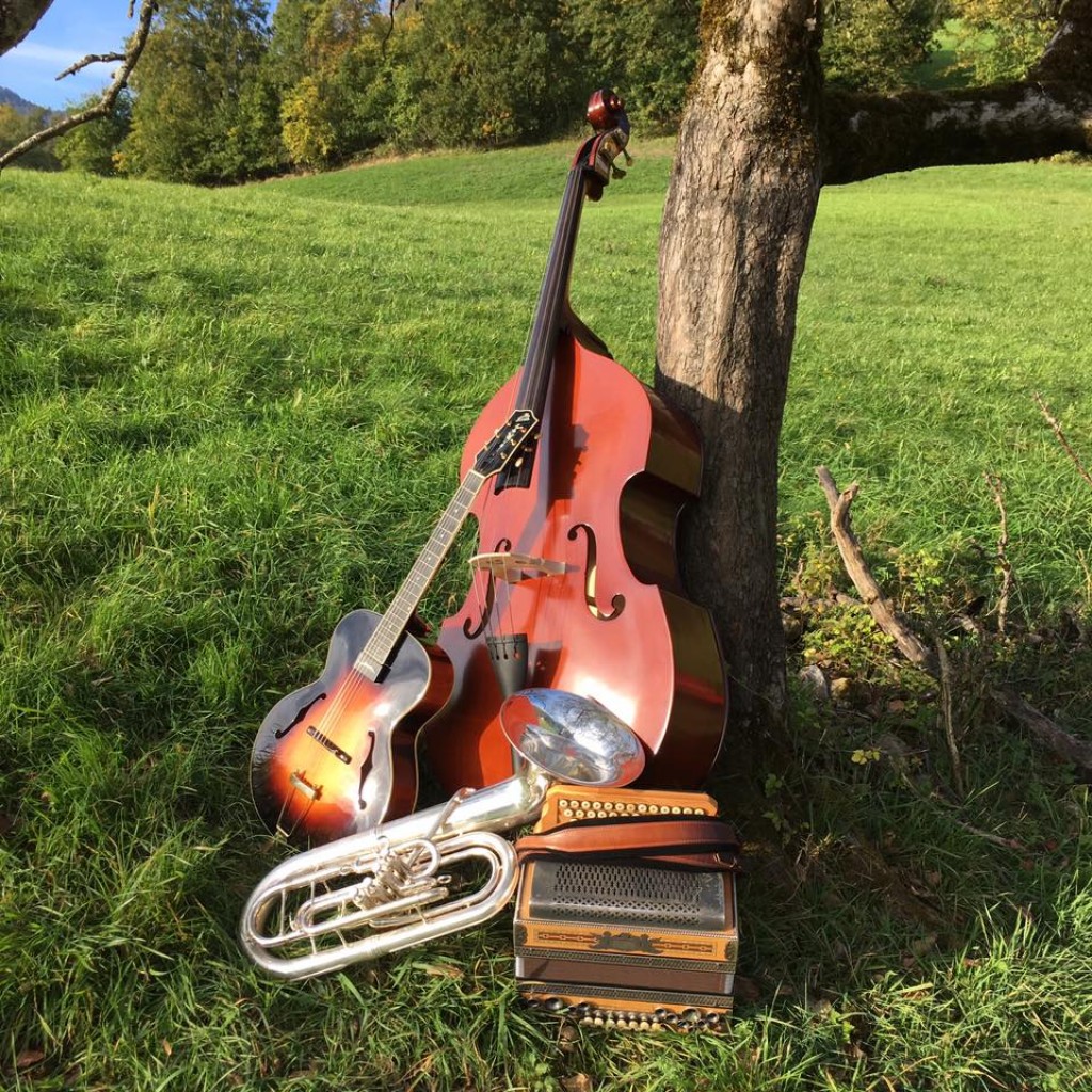 Bild von Gruppe Stoawent Musikanten