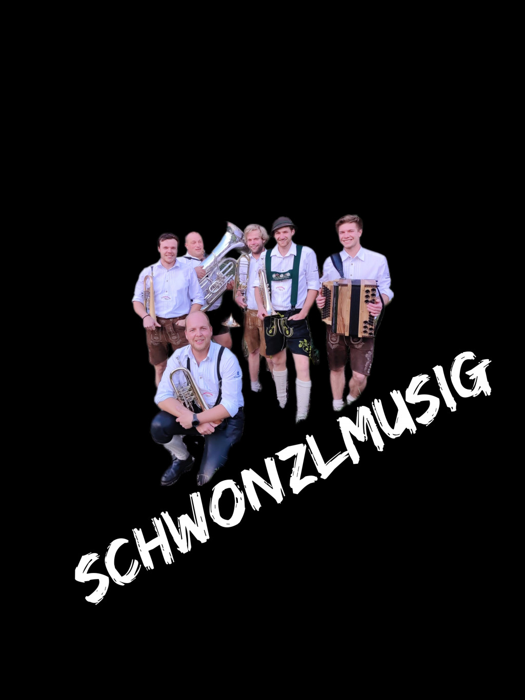 Bild von Gruppe Schwonzlmusig