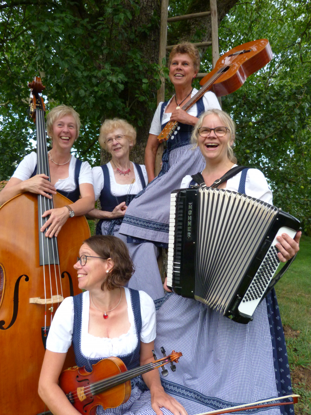 Bild von Gruppe Hammerschmid Musi