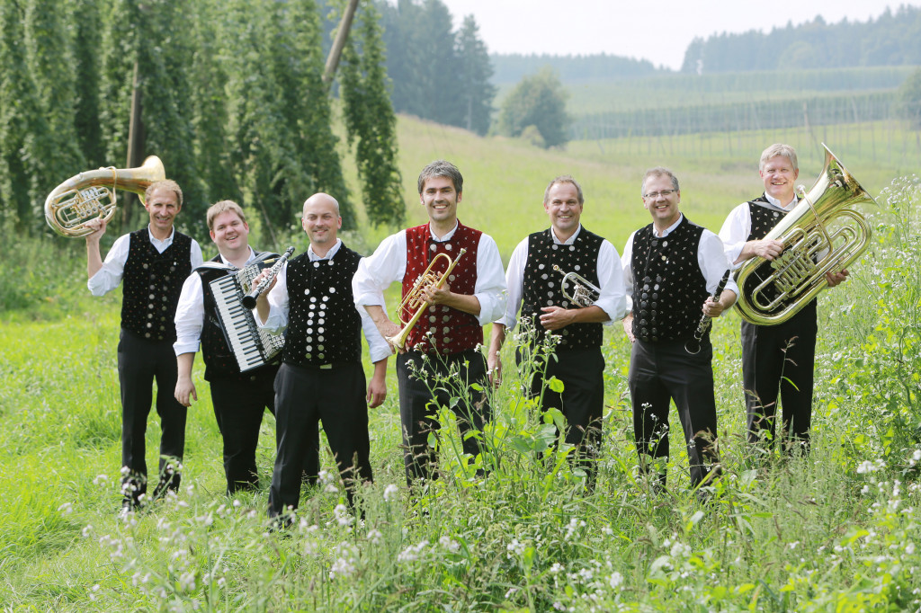 Bild von Gruppe Dellnhauser Musikanten