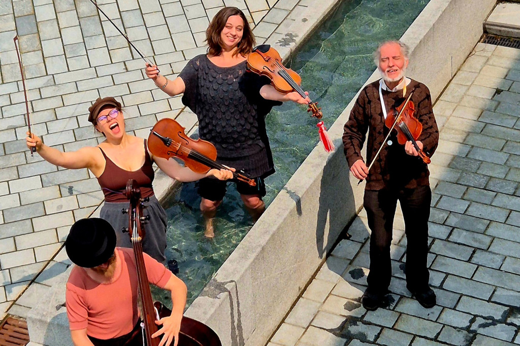 Bild von Gruppe Die Paradeiser