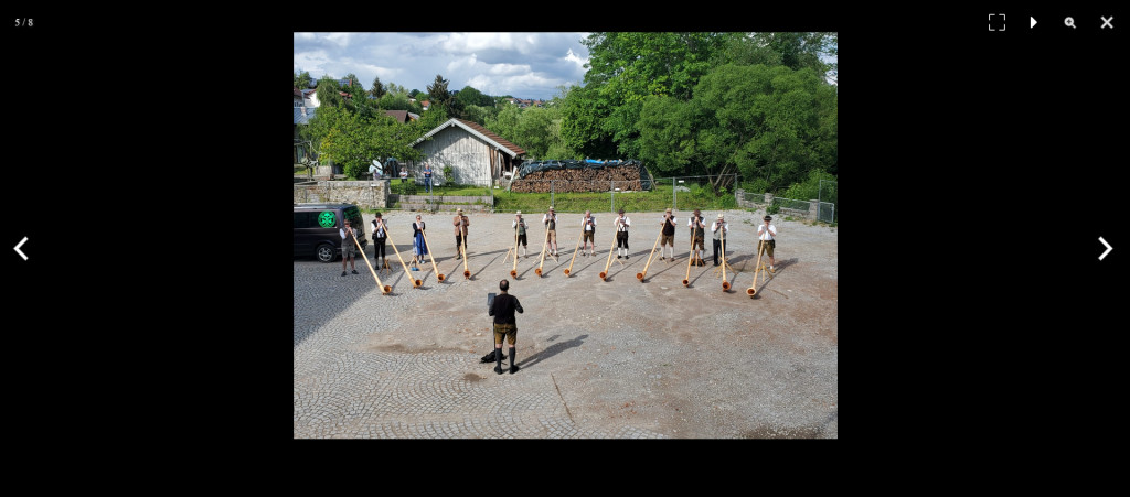Bild von Gruppe Niederbayerische Alphornbläser