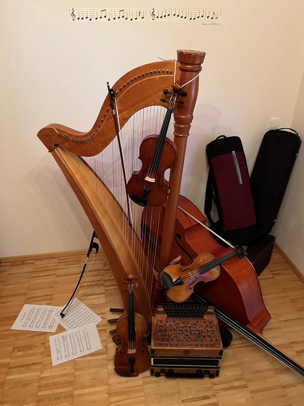 Bild von Gruppe 6/8 Streich