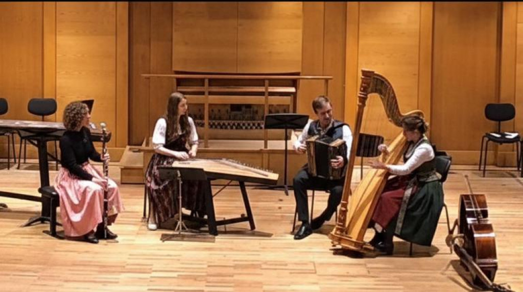 Bild von Gruppe Saitenkammer Musi